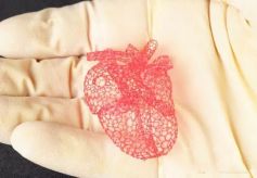用糖作原料3D打印器官组织支架，科学家们做到了！