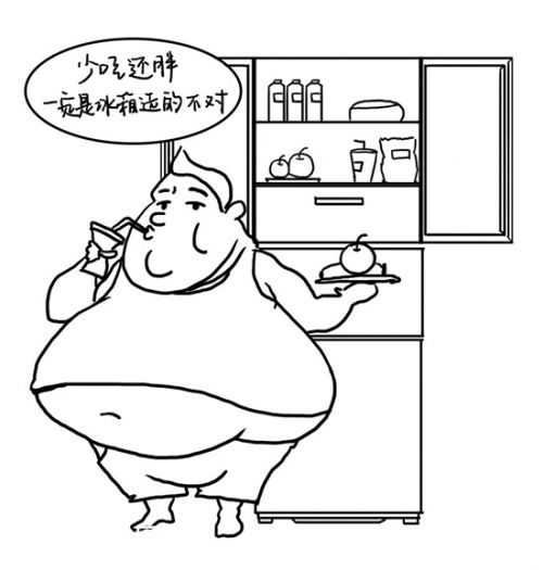 营养不良也会导致肥胖？体重飙升原因可能是选错了冰箱